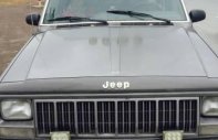 Jeep Cherokee 1995 - Cần bán gấp Jeep Cherokee đời 1995 giá 99 triệu tại Hà Nội