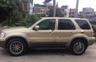 Ford Escape 2004 - Bán Ford Escape đời 2004, màu vàng giá 186 triệu tại Nam Định