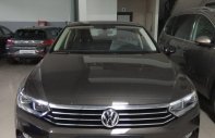 Volkswagen Passat Blue Motion 2017 - Bán Volkswagen Passat Blue Motion 2017, nhập khẩu Mỹ, màu xám giá 1 tỷ 450 tr tại Đà Nẵng