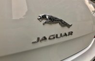 Jaguar XJ 2.0 2014 - Chính chủ bán xe Jaguar XJ 2.0 đời 2014, màu trắng, xe nhập giá 2 tỷ 980 tr tại Hà Nội