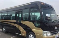 Lincoln Limousine 2017 - Bán County Limousine thân dài 2017 nhập khẩu giá 1 tỷ 320 tr tại Hà Nội