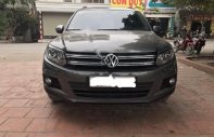 Volkswagen Tiguan 2.0TSI 2014 - Cần bán Volkswagen Tiguan 2.0TSI 2014, màu xám, nhập khẩu, 850 triệu giá 850 triệu tại Hà Nội