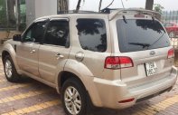 Ford Escape XLT 2.3L 4x4 AT 2009 - Cần bán Ford Escape XLT 2.3L 4x4 AT năm 2009, màu ghi vàng giá 380 triệu tại Vĩnh Phúc