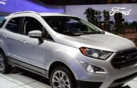 Ford EcoSport   2018 - Bán Ford EcoSport sản xuất 2018, màu bạc giá 689 triệu tại Ninh Thuận