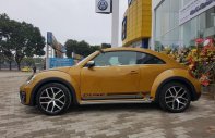 Volkswagen Beetle Dune 2017 - Bán xe Volkswagen Beetle Dune sản xuất 2017, màu vàng, nhập khẩu  giá 1 tỷ 469 tr tại Hà Nội
