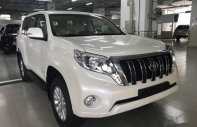 Toyota Prado 2017 - Bán Toyota Prado đời 2017, màu trắng, nhập khẩu nguyên chiếc giá 2 tỷ 160 tr tại Gia Lai