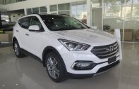 Hyundai Santa Fe 2018 - Bán xe Hyundai Santa Fe -ưu đãi lớn tại Hyundai Cao Bằng giá 903 triệu tại Cao Bằng