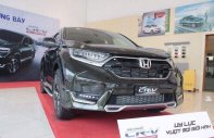 Honda CR V 2018 - Cần bán gấp Honda CR V 2018, màu đen, nhập khẩu nguyên chiếc giá 1 tỷ 73 tr tại Ninh Bình