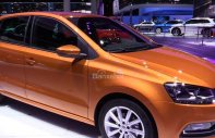 Volkswagen Polo 2017 - Bán gấp, siêu khuyến mãi tháng 5 cùng ô tô Volkswagen Polo đời 2017, màu bạc, xe nhập, giá tốt giá 695 triệu tại Bình Dương