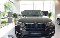BMW X5 2017 - Bán ô tô BMW X5 sản xuất 2017 màu nâu, 3 tỷ 599 triệu, xe nhập - 0901214555 giá 3 tỷ 599 tr tại Cần Thơ