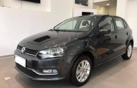 Volkswagen Polo 2017 - Bán Volkswagen Polo 2017, màu xám, nhập khẩu giá 640 triệu tại BR-Vũng Tàu