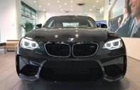 BMW M Couper 2017 - Bán BMW M Couper 2017, màu đen, nhập khẩu nguyên chiếc giá 2 tỷ 999 tr tại Tp.HCM