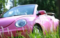 Volkswagen Beetle 2009 - Bán Volkswagen Beetle đời 2009, xe nhập chính chủ giá 596 triệu tại Vĩnh Long
