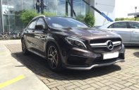 Mercedes-Benz GL Cũ Mercedes-Benz A 45 AMG 2015 - Xe Cũ Mercedes-Benz GLA 45 AMG 2015 giá 1 tỷ 630 tr tại Cả nước