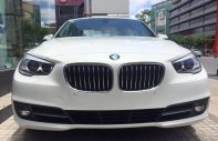 BMW 528i Mới  5  GT 2018 - Xe Mới BMW 5 528i GT 2018 giá 2 tỷ 549 tr tại Cả nước