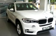 BMW X5 Mới   XDrive35i 2018 - Xe Mới BMW X5 XDrive35i 2018 giá 3 tỷ 599 tr tại Cả nước