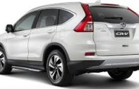 Honda CR V 2018 - Cần bán xe ô tô Honda CR V nhập khẩu giá 960 triệu tại Đồng Tháp