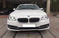 BMW 1 Cũ  5 520i 204 2014 - Xe Cũ BMW 5 520i 2014 giá 1 tỷ 430 tr tại Cả nước