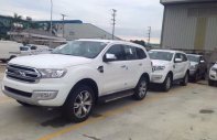 Ford Everest 2.0 biturbo 2019 - Lào Cai Ford, bán Ford Everest 2.0 biturbo 2019, nhập nguyên chiếc đủ màu giao ngay   giá 1 tỷ 315 tr tại Lào Cai