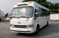 Hyundai County 2018 - Đại lý bán xe Hyundai County mới 100% tại Đắk Lắk - trả trước 400 triệu - thủ tục nhanh giá 1 tỷ 300 tr tại Đắk Lắk