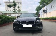 BMW 1 Cũ  5 520i 205 2015 - Xe Cũ BMW 5 520i 2015 giá 1 tỷ 510 tr tại Cả nước