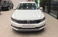 Volkswagen Passat 2016 - Bán ô tô Volkswagen Passat năm sản xuất 2016, màu trắng, nhập khẩu giá 1 tỷ 450 tr tại Thái Bình