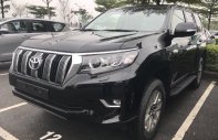 Toyota Prado VX 2018 - Cần bán Toyota Prado VX đời 2018, màu đen, nhập khẩu giá 2 tỷ 340 tr tại Hải Dương