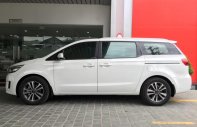 Kia Sedona DAT 2018 - Bán Kia Sedona Dat, hỗ trợ vay 80%, thủ tục nhanh nhận xe ngay giá 1 tỷ 69 tr tại Đồng Tháp