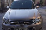 Ford Escape 2010 - Bán Ford Escape sản xuất 2010, màu bạc giá cạnh tranh giá 520 triệu tại Điện Biên