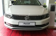 Volkswagen Passat Bluemotion 2016 - Bán Volkswagen Passat BM sản xuất 2016, màu trắng, xe nhập giá 1 tỷ 400 tr tại Ninh Thuận