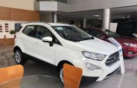 Ford EcoSport 1.0L AT Titanium 2018 - Bán Ford Ecosport Titanium tại Hải Dương giao ngay, đủ màu, giảm cực mạnh, hỗ trợ 80%, 8 năm - LH: 0942552831 giá 69 triệu tại Lai Châu