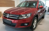 Volkswagen Tiguan 2018 - Bán Volkswagen Tiguan sản xuất 2018, màu đỏ, nhập khẩu nguyên chiếc giá 1 tỷ 699 tr tại Ninh Thuận