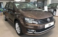 Volkswagen Polo 2017 - Bán Volkswagen Polo, màu nâu, nhập khẩu 2017, xe có giao ngay giá 699 triệu tại Phú Yên