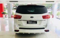 Kia Sedona DATH 2018 - Bán xe Kia Sedona Dath đời 2019, tại Nha Trang, Ninh Thuận, Cam Ranh, Ninh Hòa, Vạn Ninh giá 1 tỷ 209 tr tại Khánh Hòa