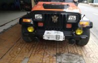 Jeep Wrangler 1997 - Bán Jeep Wrangler năm sản xuất 1997, nhập khẩu nguyên chiếc chính chủ giá cạnh tranh giá 220 triệu tại Sóc Trăng