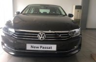 Volkswagen Passat 1.8 Bluemotion 2018 - Bán xe Volkswagen Passat 1.8 Bluemotion đời 2018, màu nâu, nhập khẩu, công nghệ an toàn giá 1 tỷ 450 tr tại Đà Nẵng