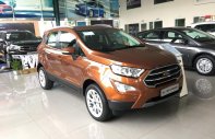 Ford EcoSport Titanium  2018 - Bán xe Ford Ecosport 2018 đủ màu. Giảm 20tr tặng kèm bảo hiểm, phim 3M, bệ bước, hỗ trợ ngân hàng toàn quốc giá 628 triệu tại Bình Phước