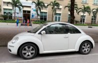 Volkswagen New Beetle 1.6 AT 2009 - Chính chủ bán Volkswagen New Beetle 1.6 AT, năm 2010, màu trắng, xe nhập giá 570 triệu tại Hà Nội