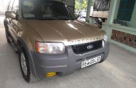 Ford Escape XLT  2003 - Cần bán Ford Escape XLT đời 2003, màu vàng cát, số tự động, giá chỉ 165 triệu giá 165 triệu tại Tp.HCM