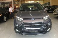 Ford Acononline Titanium 1.5L AT 2016 - Bán Ford Ecosport Titanium 1.5L AT 2016 xe cực lướt, cực mới giá 565 triệu tại Hà Giang