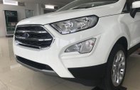 Ford EcoSport Titanium 1.5L AT 2018 - Bán Ford EcoSport Titanium 1.5 năm 2018, màu trắng tại Ninh Bình, LH 0989.022.295 giá 648 triệu tại Ninh Bình