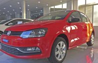Volkswagen Polo 2018 - Bán Volkswagen Polo Hatchback nhập khẩu nguyên chiếc giá 695 triệu tại Hải Phòng