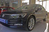 Volkswagen Passat BlueMotion 2018 - Bán Volkswagen Passat BlueMotion nhập khẩu nguyên chiếc từ Đức giá 1 tỷ 420 tr tại Hải Phòng