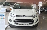 Ford EcoSport Trend 2018 - Bán Ford EcoSport Trend đời 2018, giá chỉ 553 triệu. LH ngay Ms Nhung 0987987588 giá 553 triệu tại Hà Nội