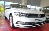 Volkswagen Passat 2017 - Bán Volkswagen Passat năm sản xuất 2017, màu trắng, nhập khẩu giá 1 tỷ 450 tr tại Khánh Hòa