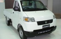 Suzuki Super Carry Pro 2018 - Bán Suzuki Carry Pro 2018 nhập khẩu Indonesia giá tốt, lh: 0939298528 giá 312 triệu tại An Giang