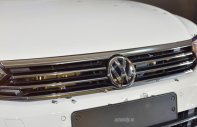 Volkswagen Passat Bluemotion 2017 - Bán Volkswagen Passat bluemotion đỉnh cao của công nghệ Đức, nhập khẩu nguyên chiếc, LH 0942050350 giá 1 tỷ 400 tr tại Ninh Thuận