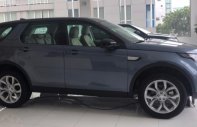 LandRover Discovery   Sport HSE  2018 - 0932222253 New Discovery Sport xe giao ngay - Giá xe Discovery Sport HSE 2018 chính hãng màu xanh, đỏ, trắng, xám giá 3 tỷ 99 tr tại Tp.HCM