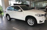 BMW X5 2018 - Bán xe BMW X5 đi tết 2019 với nhiều ưu đãi giá 3 tỷ 599 tr tại Tp.HCM