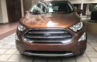 Ford EcoSport Titanium 2018 - Bán ô tô Ford EcoSport Titanium sản xuất 2018, cùng với nhiều khuyến mại hấp dẫn LH 0989022295 tại Hà Nam giá 610 triệu tại Hà Nam